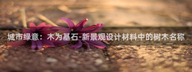 新宝gg介绍