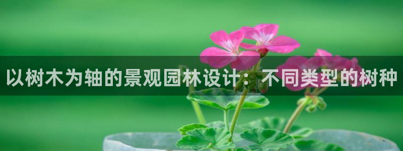 新宝gg专线