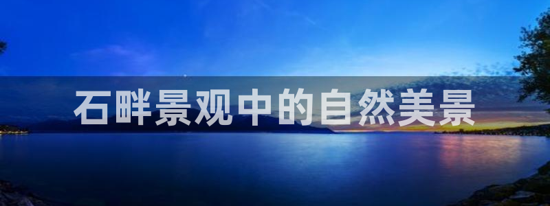 新宝GG手机客户端