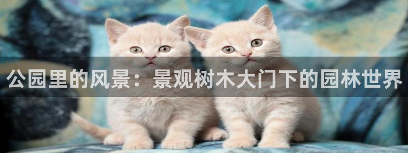 下载新宝gg