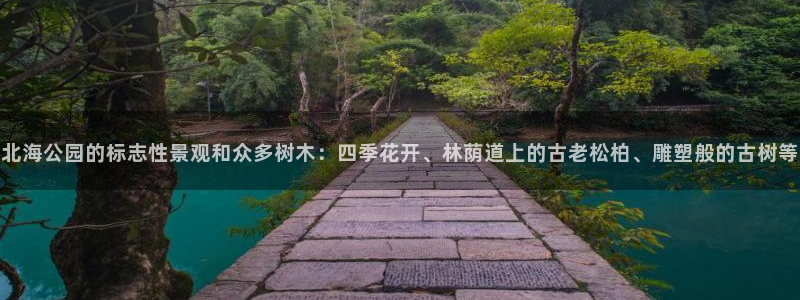 新宝gg赚钱
