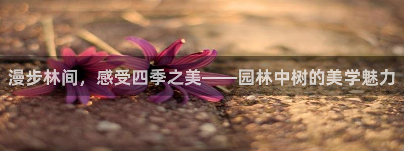 新宝gg总管