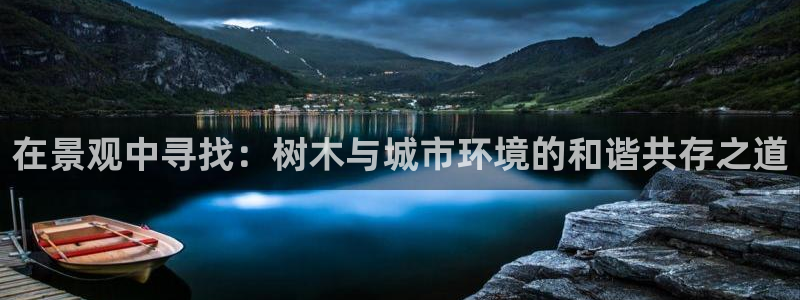 新宝gg传奇