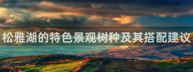 新宝gg游戏登录:松雅湖的特色景观树种及其搭配建议