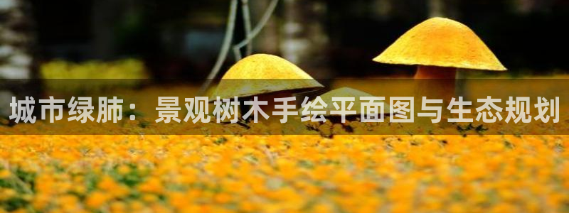 新宝gg怎样代理