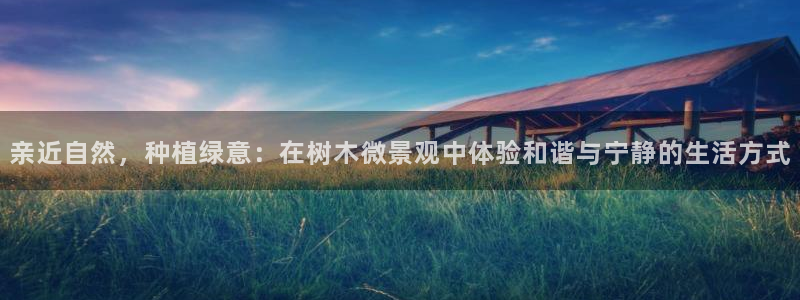 新宝gg娱乐官网