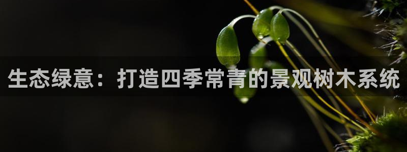 新宝gg注册登录网址:生态绿意:打造四季常青的景观树木系统