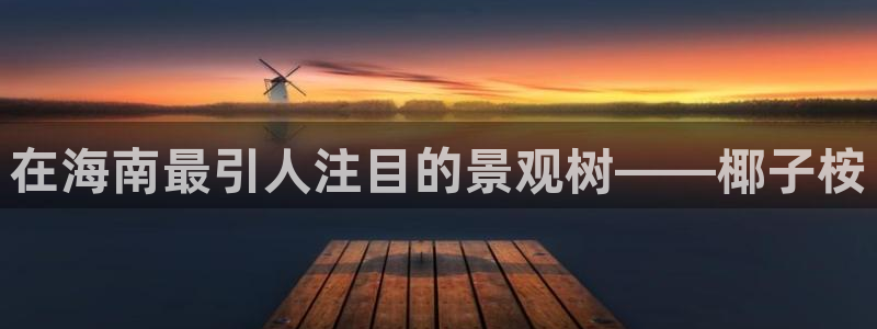 新宝gg挂机软件下载