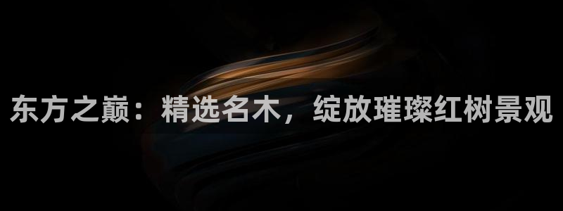 新宝gg直属上级