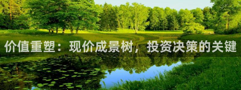 新宝gg软件下载