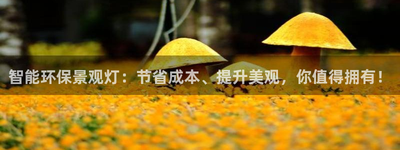 新宝6娱乐新宝gg