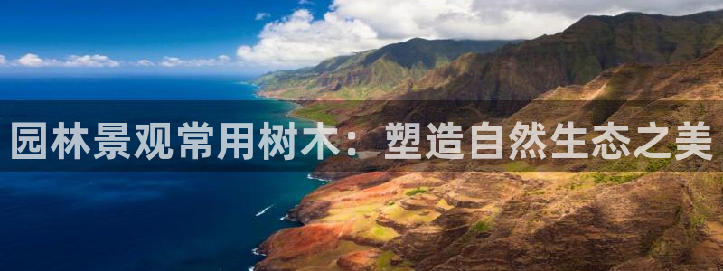 新宝gg代理条件