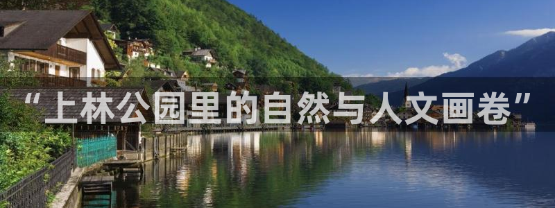 新宝gg首页平台