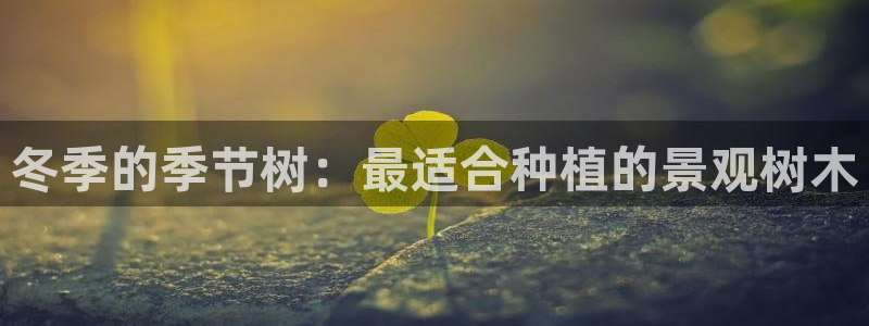 新宝gg 75505：冬季的季节树：最适合种植的景观树木