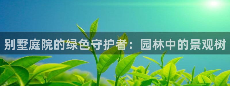 新宝gg手机助手