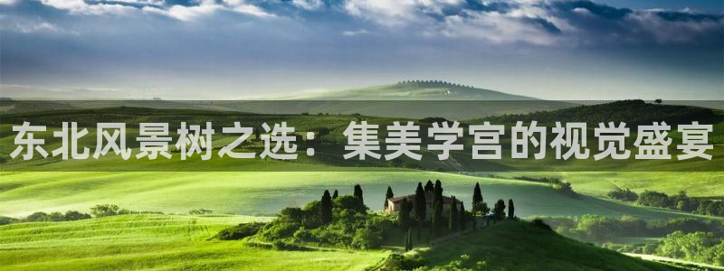 新宝GG耳78778：东北风景树之选：集美学宫的视觉盛宴